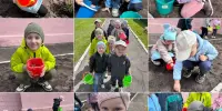 Труд в огороде