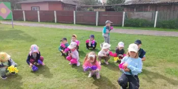 Дискотека на летней полянке