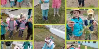 Наблюдение и труд на прогулке