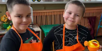 Огород на подоконнике