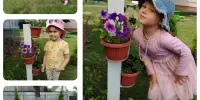 Теплые мгновения лета