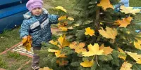 Осеннее волшебство